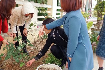 Cán bộ, giáo viên, nhân viên và các em học sinh trồng cây đầu xuân 2023